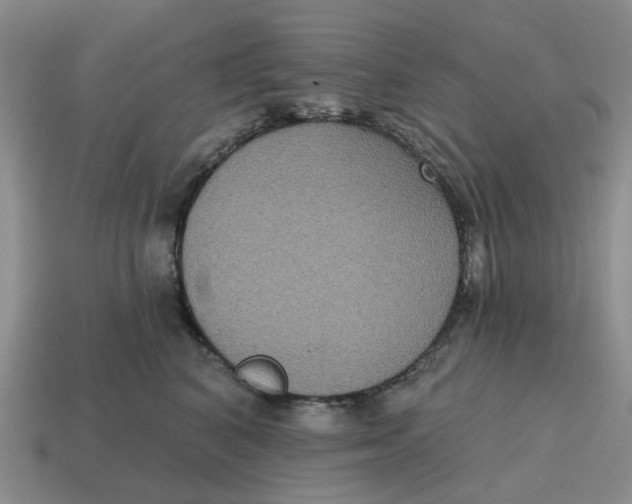 X0000114580616200911091237