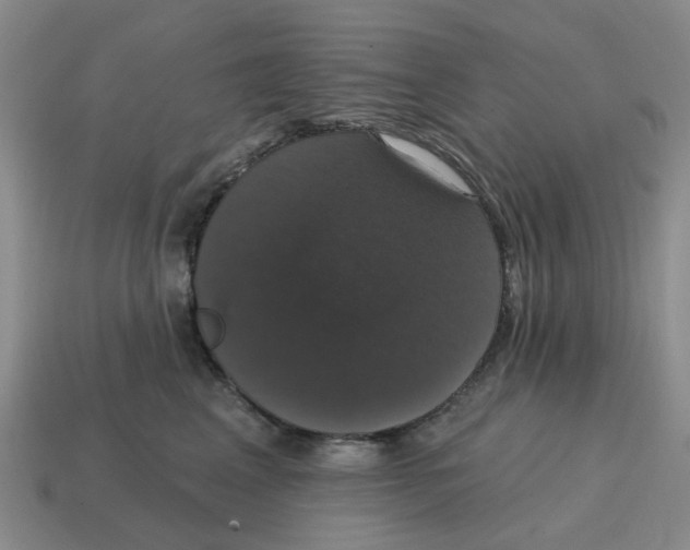 X0000114580617200911091237