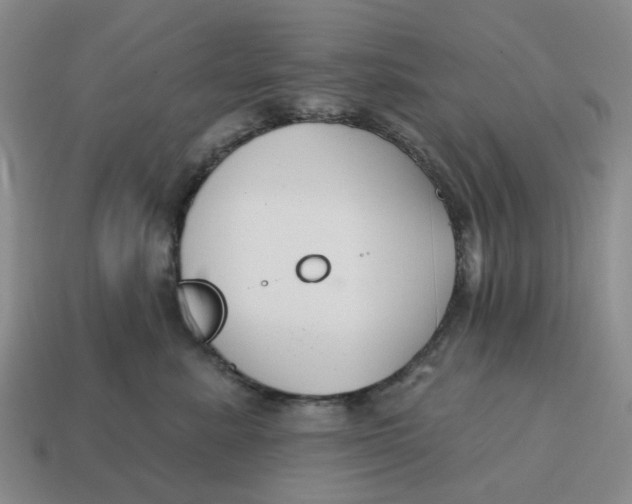 X0000114580619200911091237