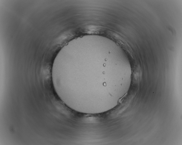 X0000114580620200911091237