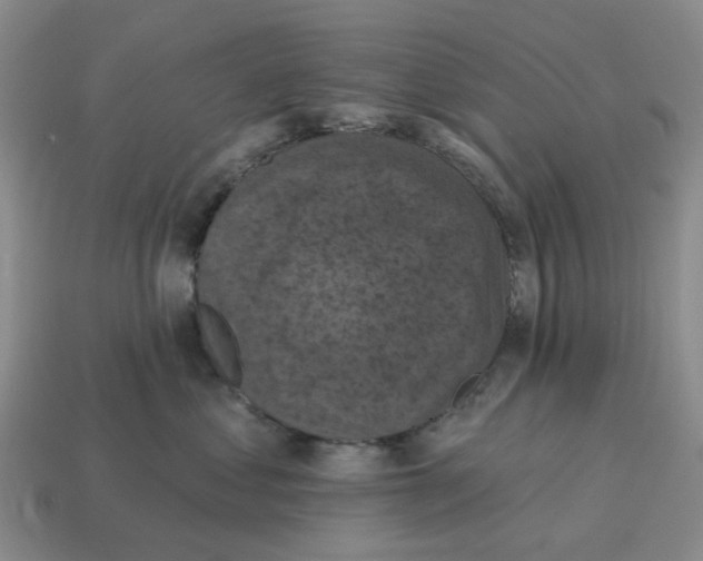 X0000114580621200911091237