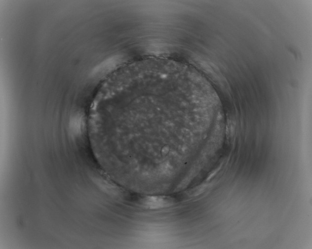 X0000114580623200911091237