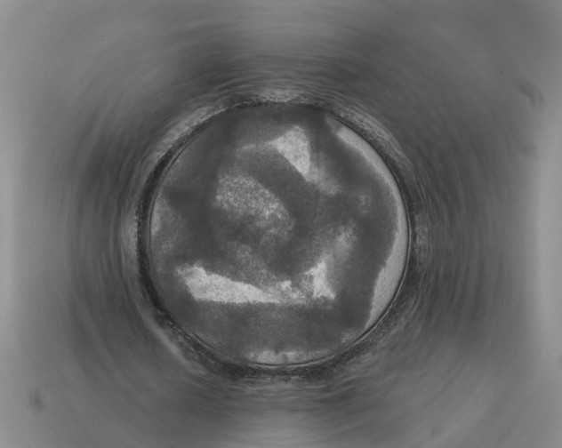 X0000114580626200911091236