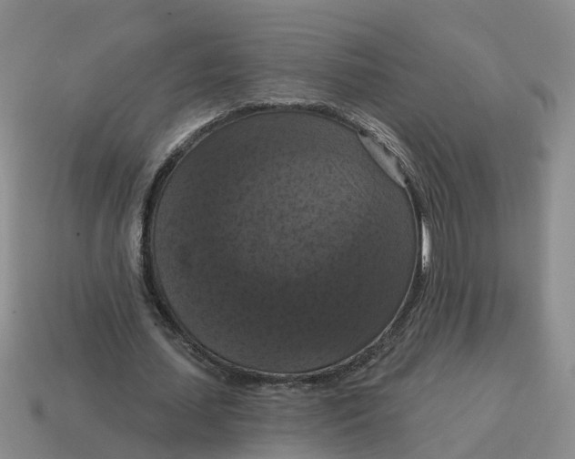 X0000114580627200911091236