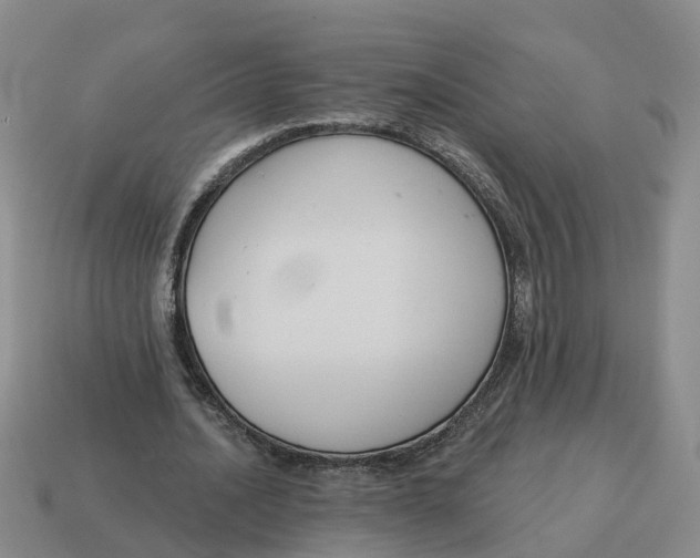 X0000114580628200911091236