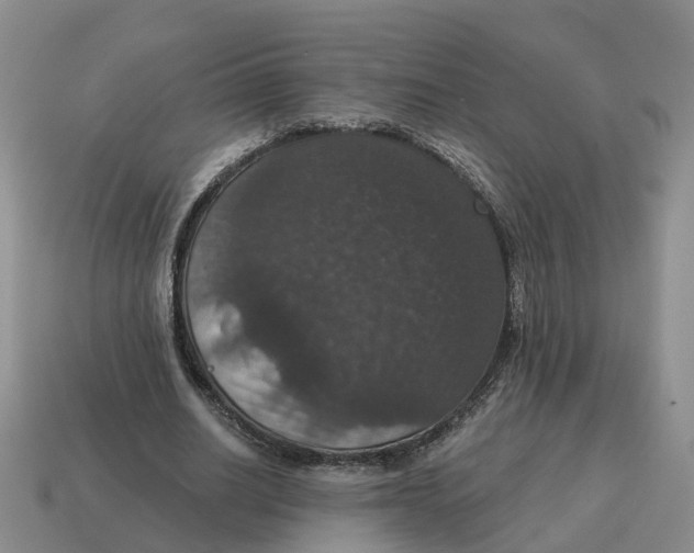 X0000114580630200911091236