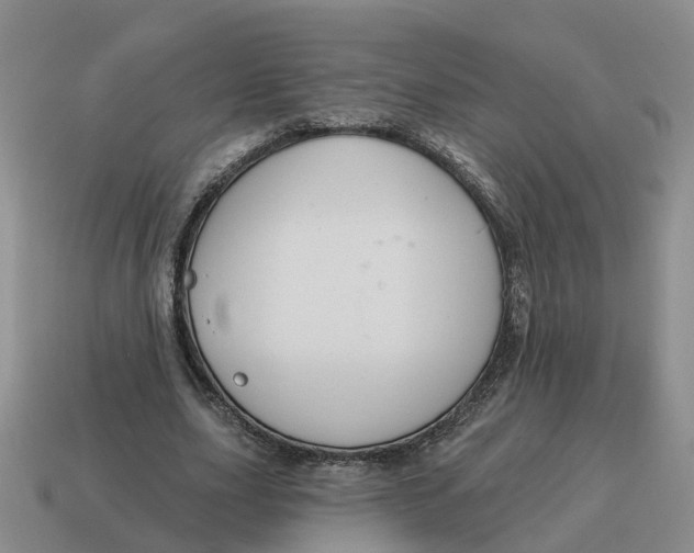 X0000114580631200911091236