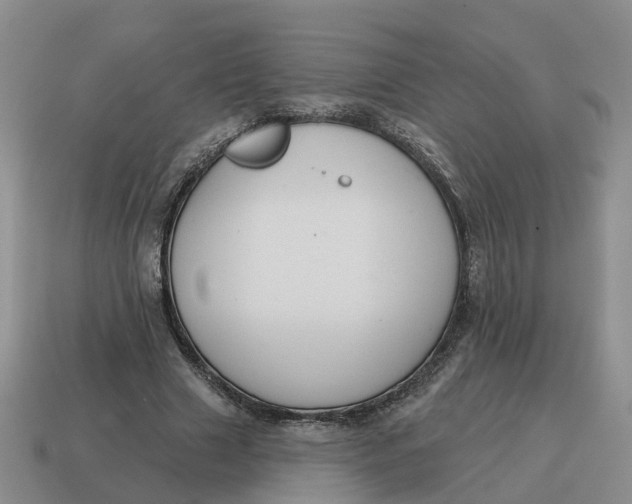 X0000114580633200911091236