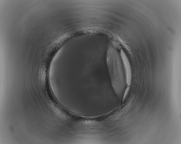 X0000114580637200911091236