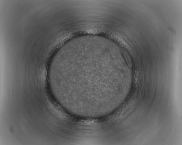 X0000114580639200911091236