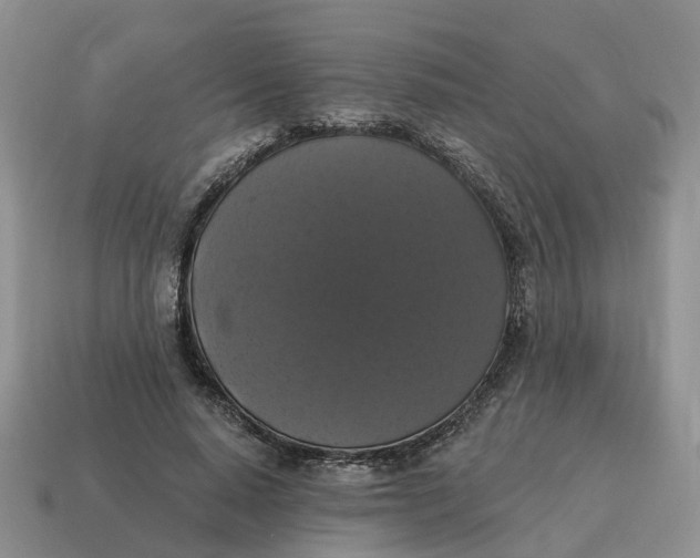 X0000114580640200911091236