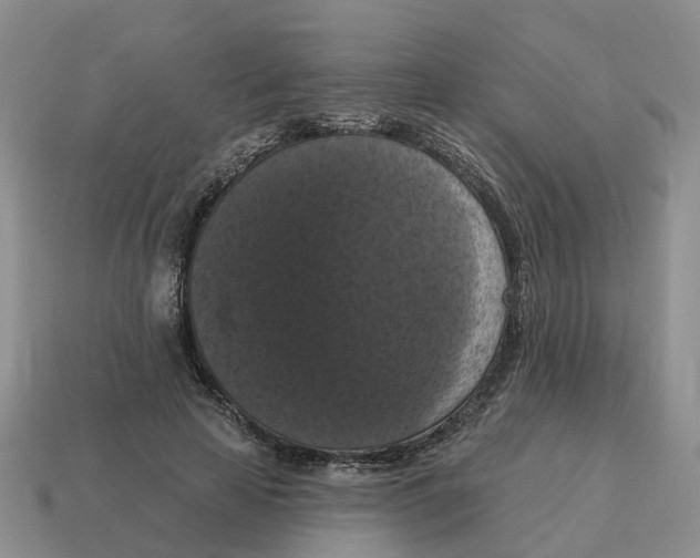 X0000114580641200911091236