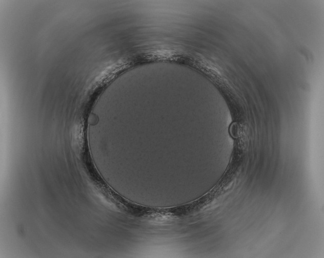 X0000114580642200911091236