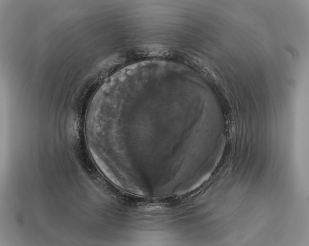 X0000114580643200911091236