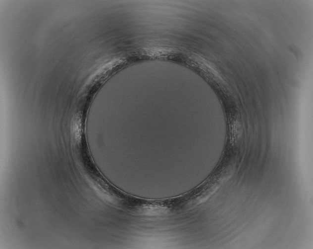 X0000114580644200911091236