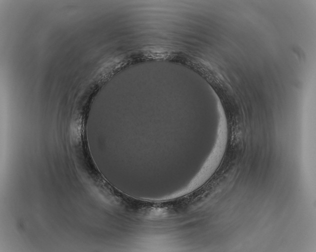 X0000114580647200911091236