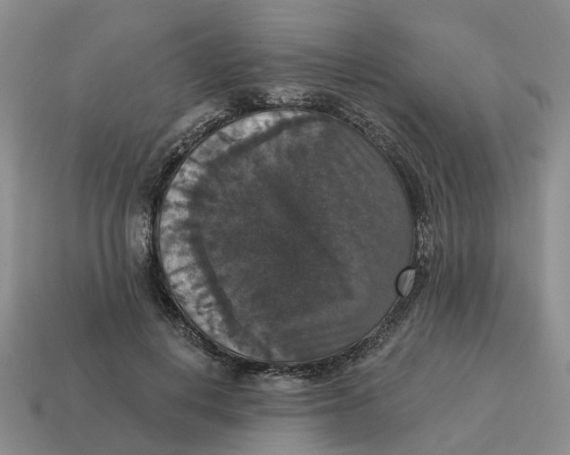 X0000114580648200911091236