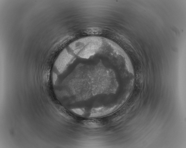 X0000114580652200911091236