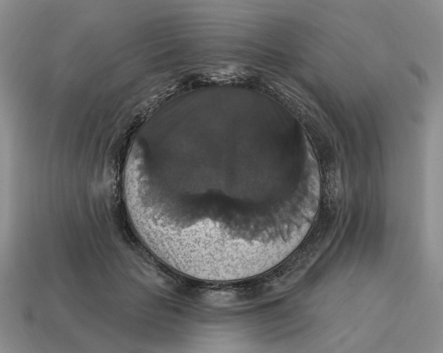 X0000114580653200911091236