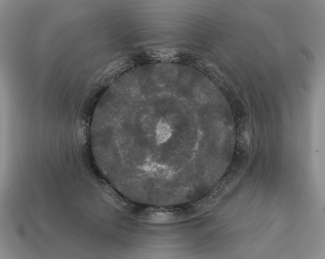 X0000114580658200911091237