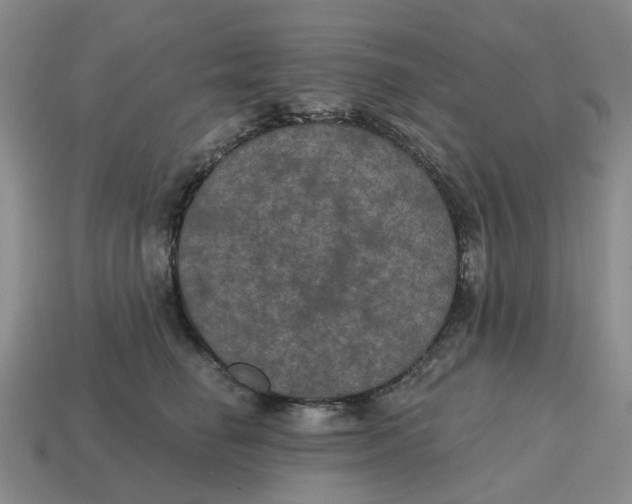 X0000114580662200911091237