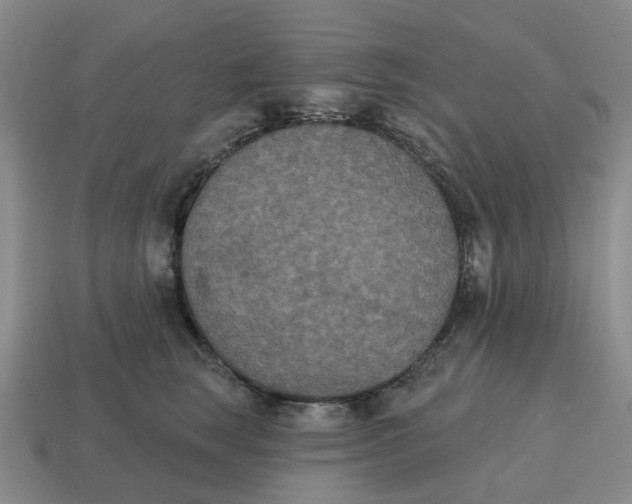 X0000114580663200911091237