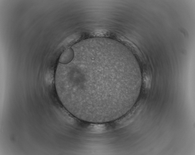 X0000114580665200911091237