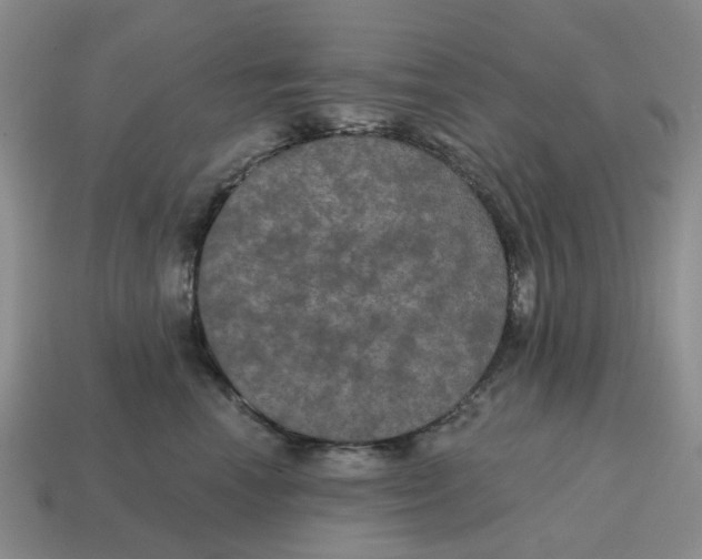 X0000114580666200911091237