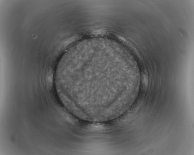 X0000114580668200911091237