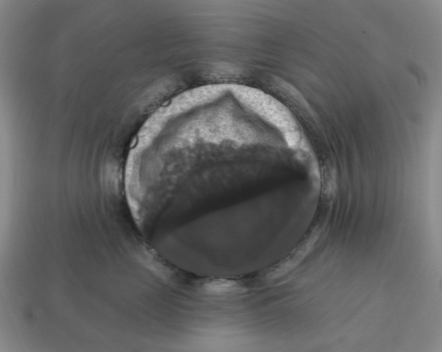 X0000114580669200911091237