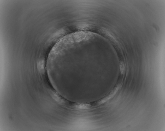 X0000114580670200911091237