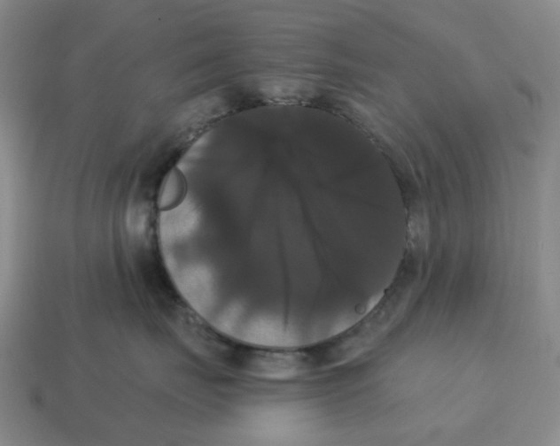 X0000114580671200911091237