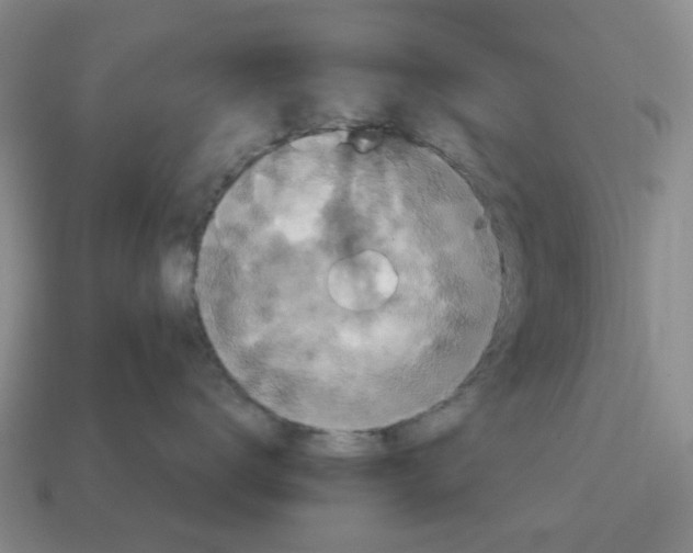 X0000114580672200911091237