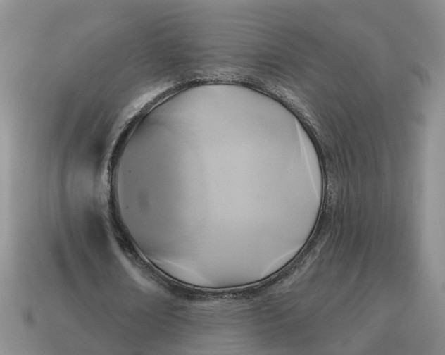 X0000114580674200911091236