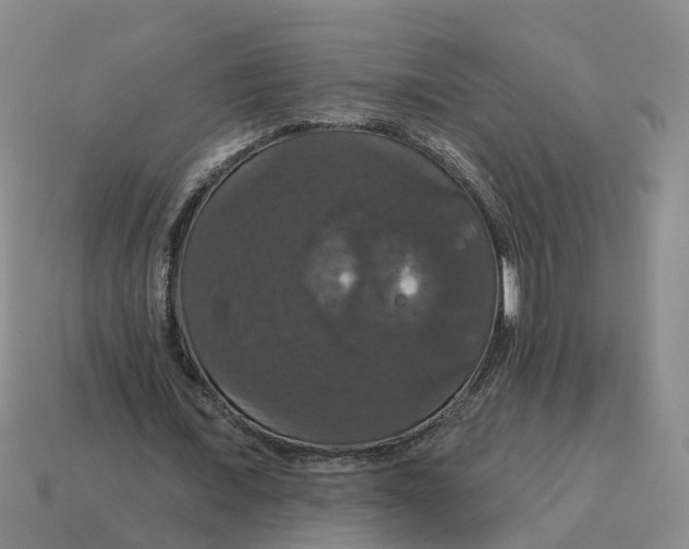 X0000114580675200911091236