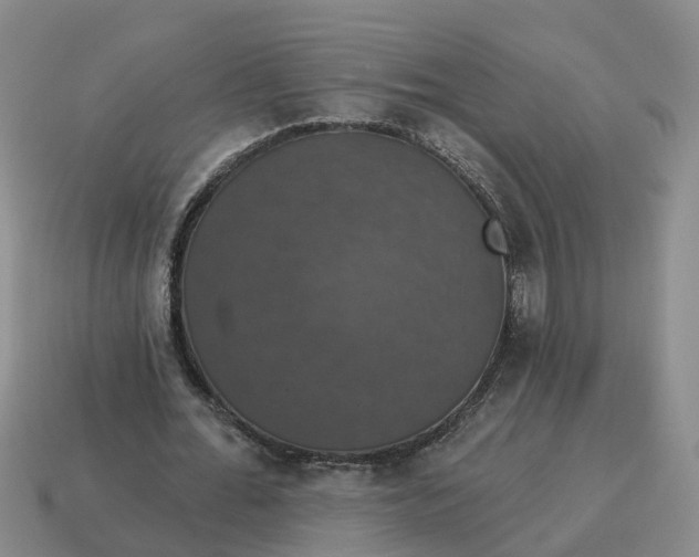 X0000114580676200911091236