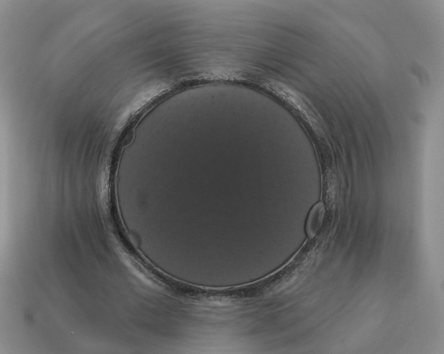 X0000114580677200911091236