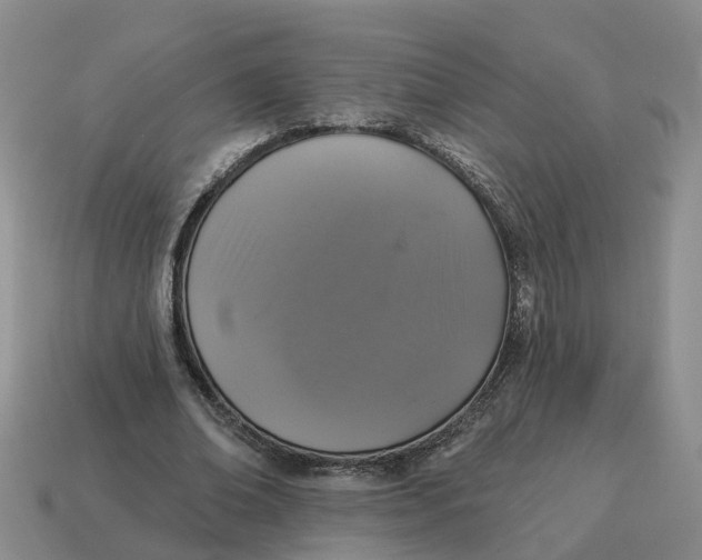 X0000114580678200911091236