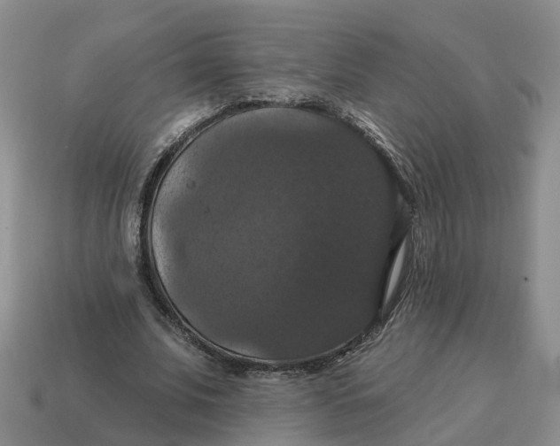 X0000114580679200911091236