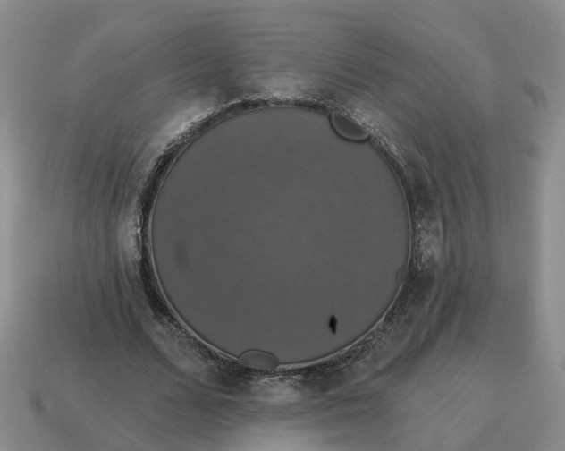 X0000114580680200911091236