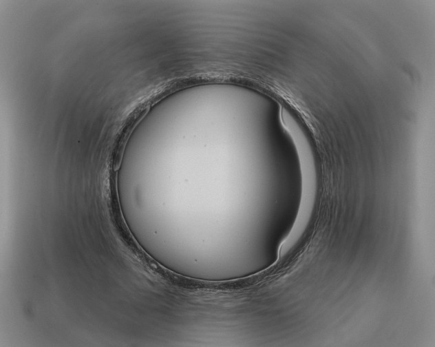 X0000114580681200911091236