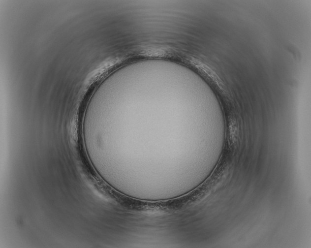 X0000114580682200911091236