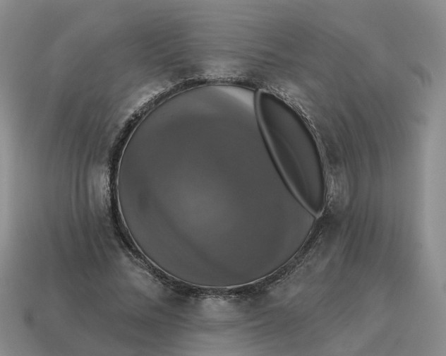 X0000114580684200911091236