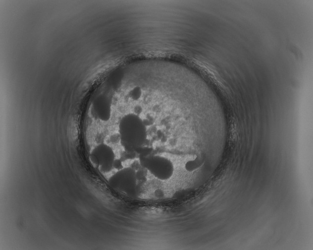 X0000114580687200911091236