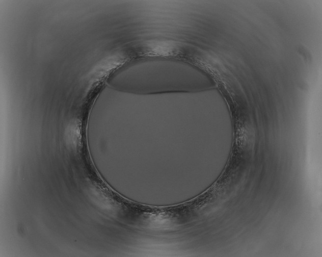 X0000114580688200911091236