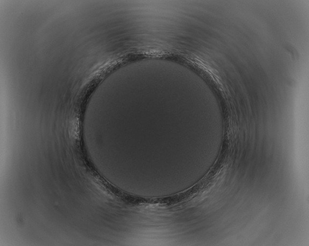 X0000114580689200911091236