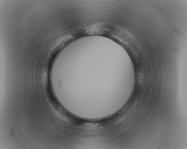 X0000114580690200911091236