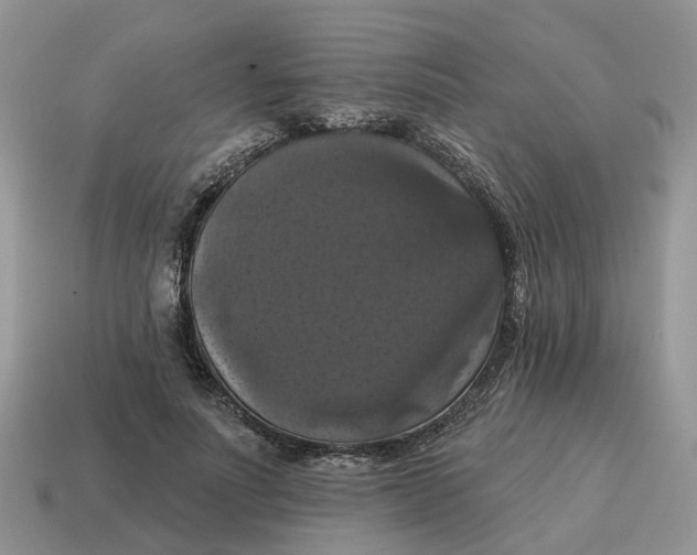 X0000114580691200911091236