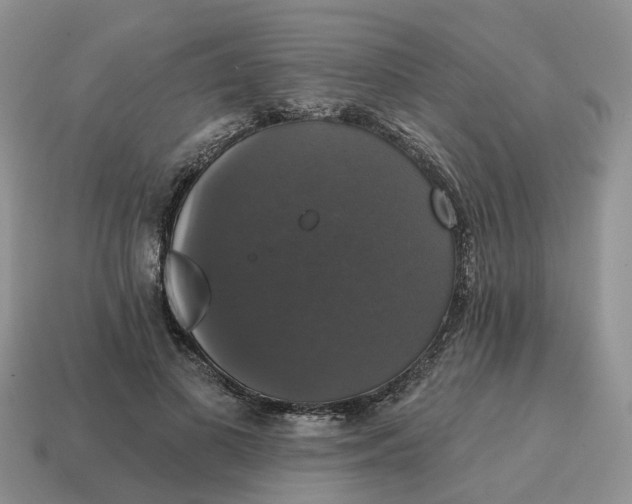 X0000114580693200911091236