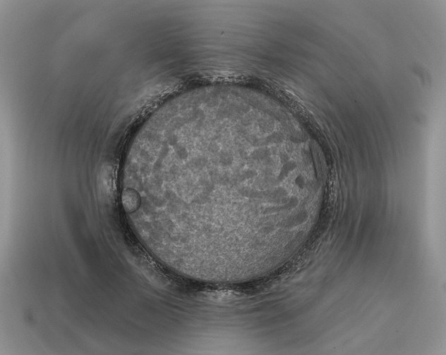 X0000114580695200911091236